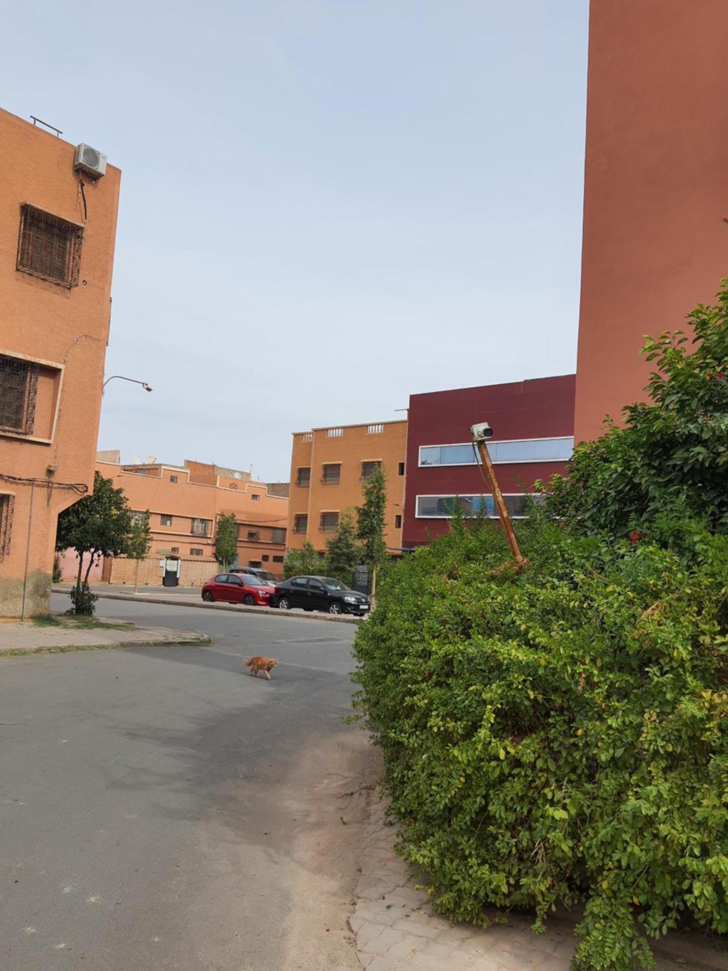 Marrakech Lägenhet Marrakesh Exteriör bild