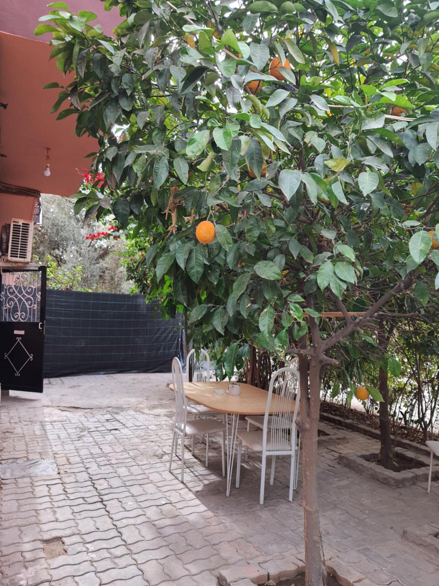 Marrakech Lägenhet Marrakesh Exteriör bild